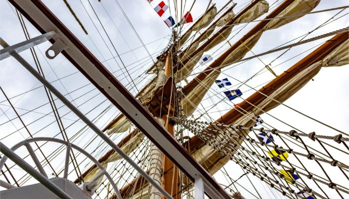 L'Armada: Prenez le large avec les grands voiliers du monde